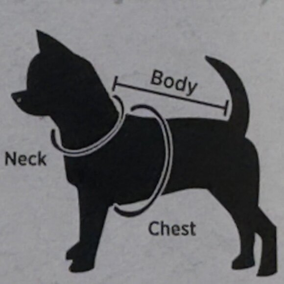 Novelty Pet Halloween Tee Small "I'm So Cute Its Scary" Orange Dog Costume NEW - Picture 7 of 9